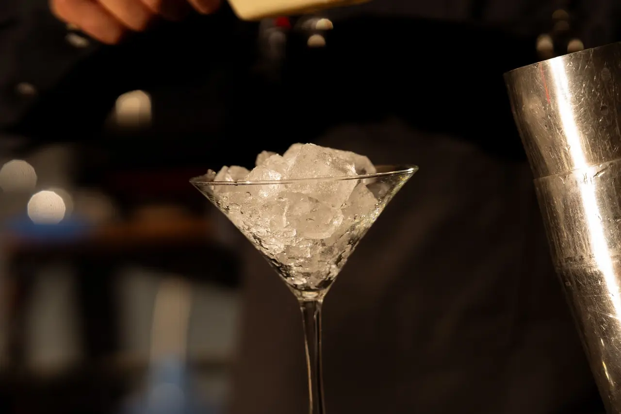 Ice Maker Not Making Ice in Texas